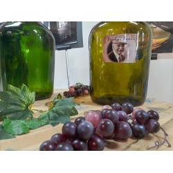 Inaugurada no Casarão do Parque Newton Puppi a exposição “Cultivando Histórias e Memórias”